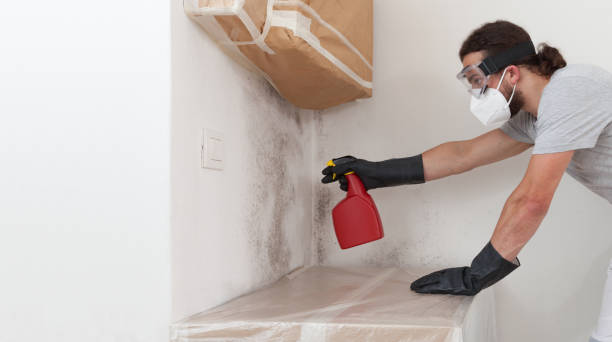 Professional Bathroom Mold Removal technician working in Carr, CO