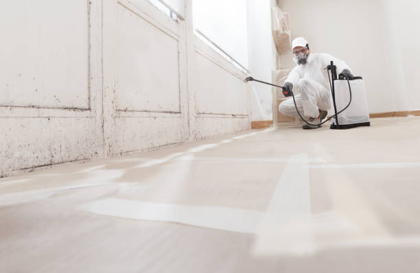 24/7 Emergency Bathroom Mold Removal experts in Carr, CO